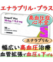 エナラプリル・プラス(Enapril・Plus) 12.5mg/20錠|高血圧症や心不全の治療および予防薬