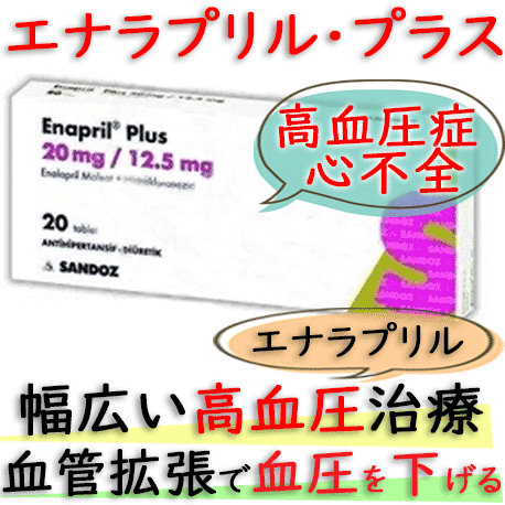 エナラプリル・プラス(Enapril・Plus) 12.5mg/20錠|高血圧症や心不全の治療および予防薬