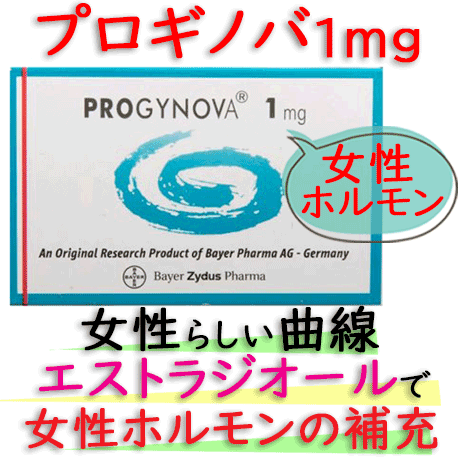 プロギノバ  (Progynova) 1mg 28錠/箱｜女性ホルモン補充